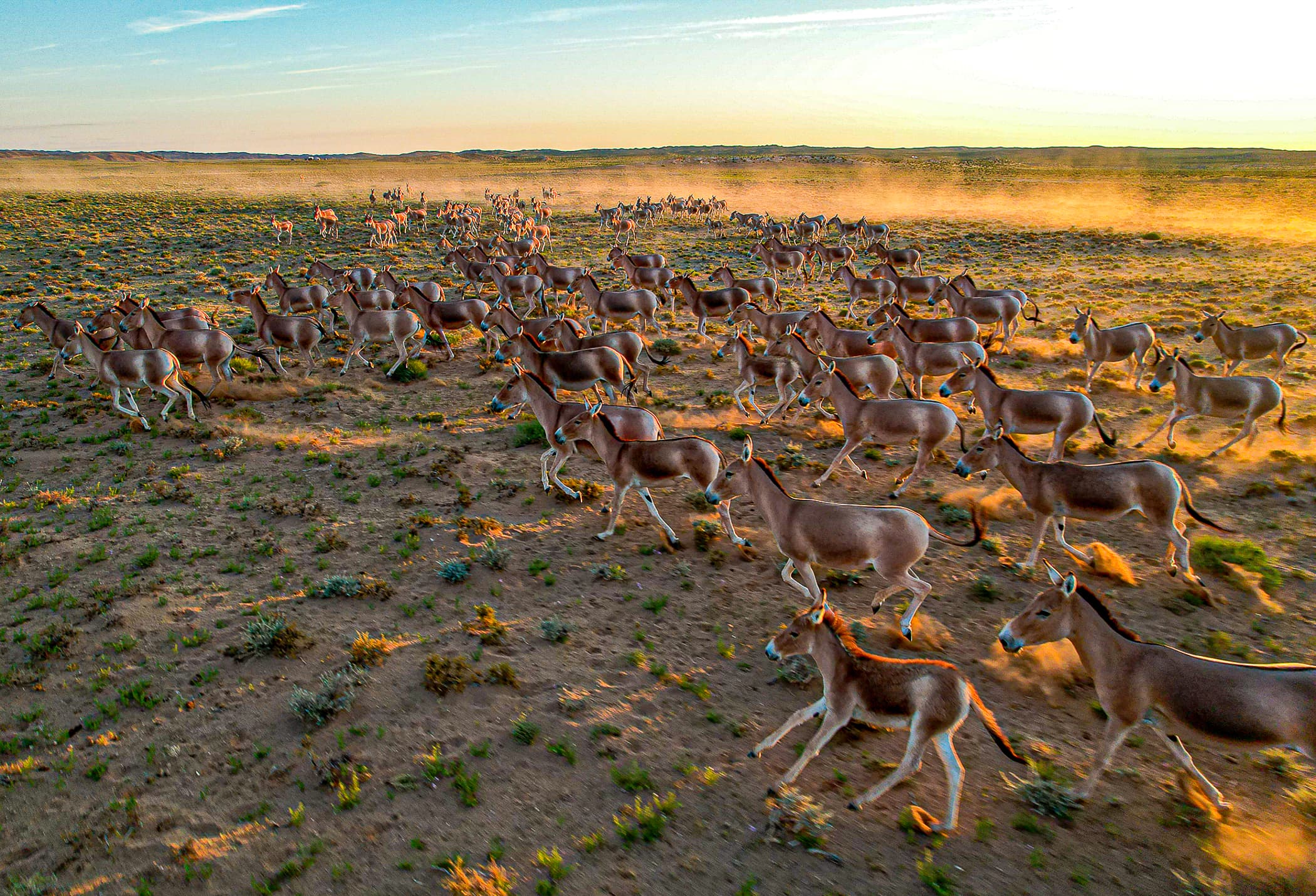 Altai Tavan Bogd- Western Mongolia
