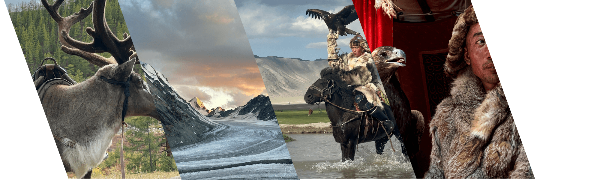 Mongolia Birding Journey